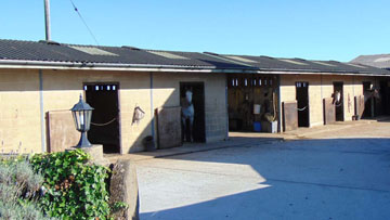 about-horseb+b